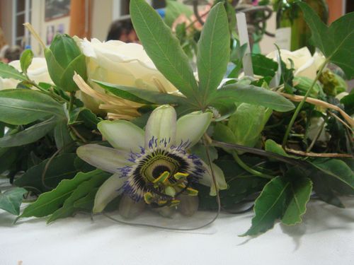 DSC05705