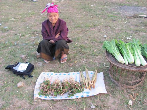 Laos-2011 6085