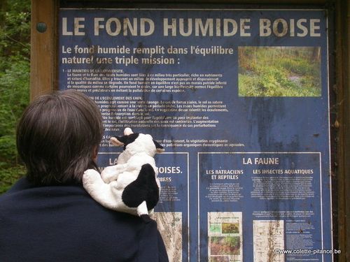 juin2013-010.jpg