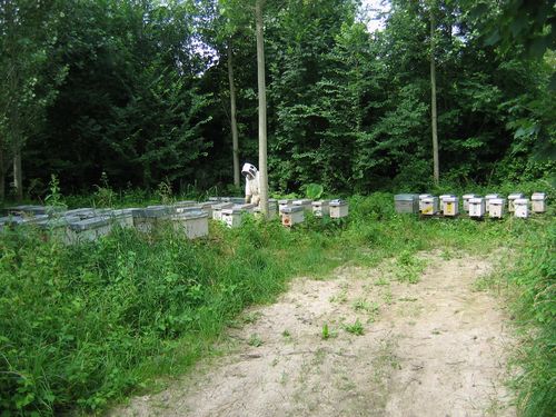 26Juin08 028