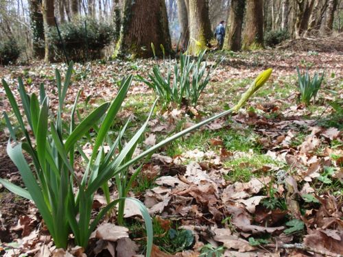 2010-03-21-Carroir006-small.JPG