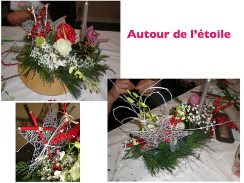 2012 12 15 autour de l'etoile (4)