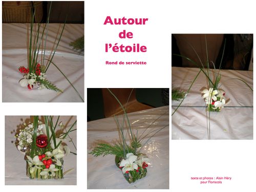 2012 12 15 autour de l'etoile (9)