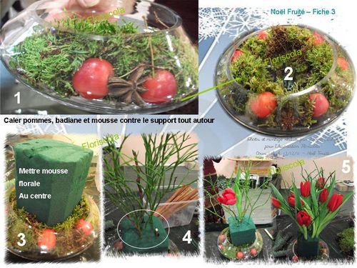 2011 13 12 noel fruite (2)