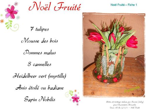2011 13 12 noel fruite