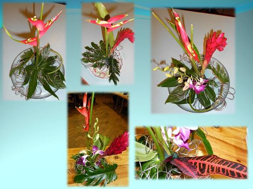 2012 courbes de fleurs exotiques (4)