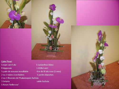 Ppt0000012