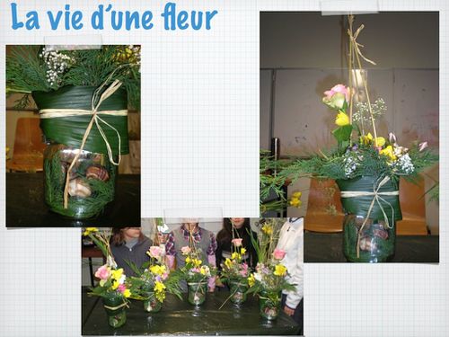 2011 03 02 la vie d'une fleur (1)