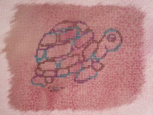 tortue-3.JPG