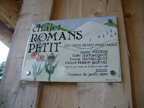 IMGP2176