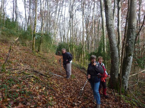 P1040144-copie