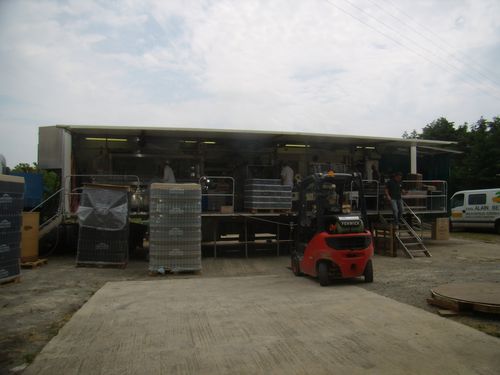 P5250098