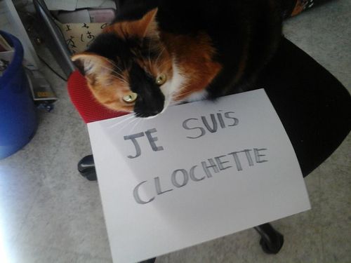 Charlie2.jpg