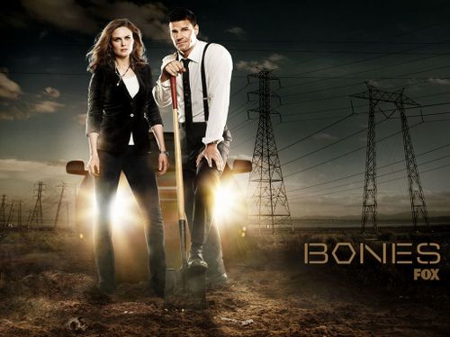 bones wall03 1024x768