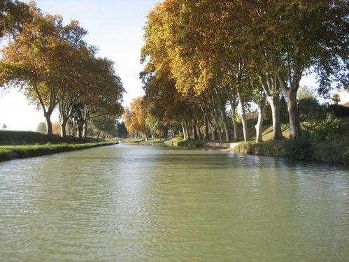 Après le pont de Roubia Canal du Midi