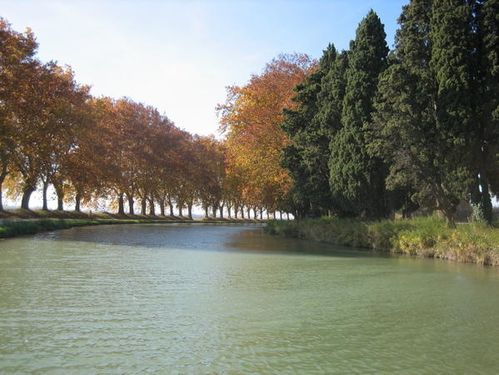 Verts et roux Canal du Midi