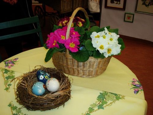 DSC09005-800.jpg
