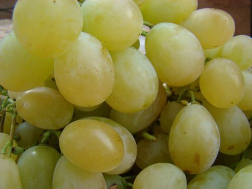 raisins-blancs.jpg