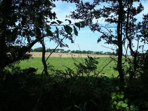 paysages bretons bocage en mutation