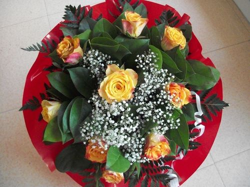 100_5382.JPG