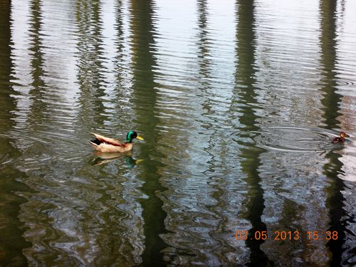 DSCN0221.JPG