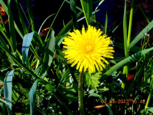 DSCN0223.JPG