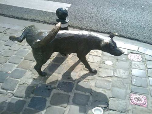 IMAG0515.jpg