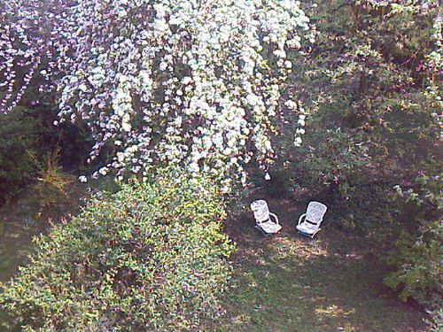IMAGE-308.jpg