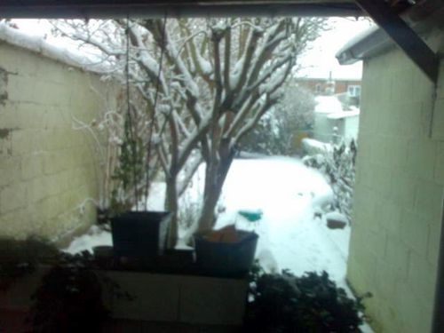 JARDIN-HORIZ-NEI.jpg