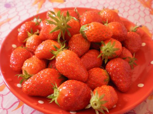 fraises.JPG