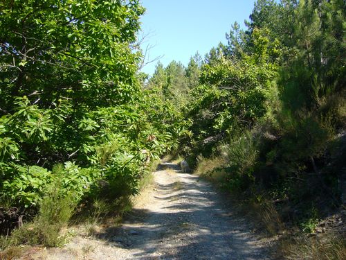 P1060733