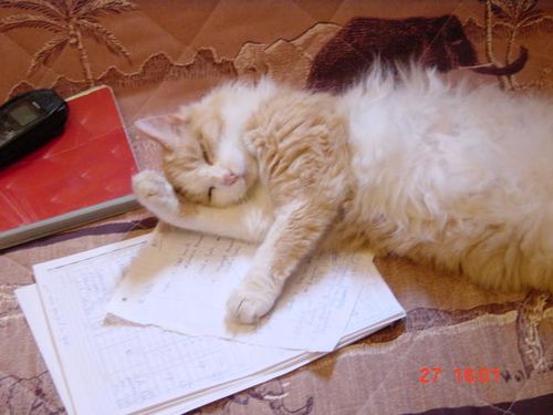 sieste.JPG