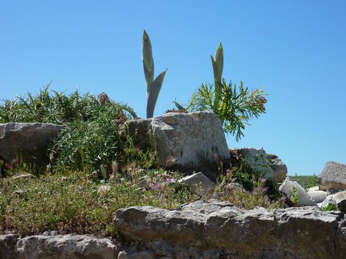 P1170584