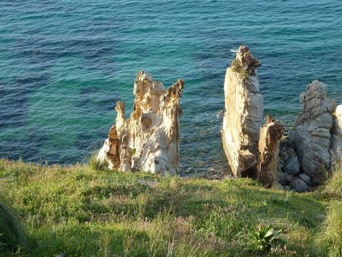 Tabarka