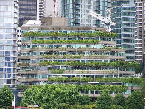 798px-Green_Roof-_Vancouver_BC.jpg