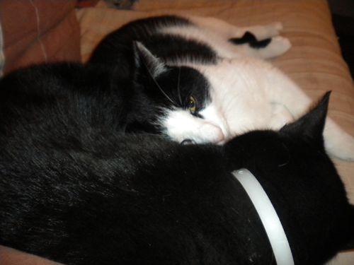 Photo-365.jpg