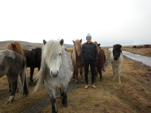 ICELAND RAID 2012 007RET