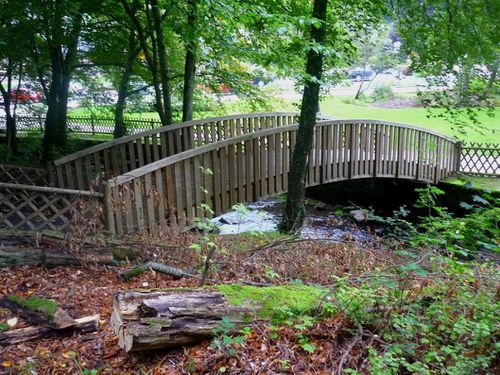 pont-de--bois.jpg