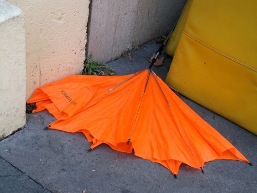 nature morte parapluie orange