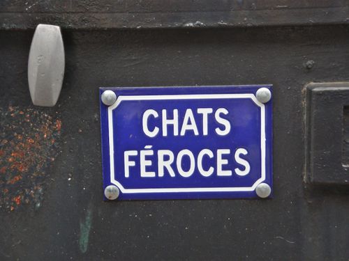 chats-feroces-plaque.jpg