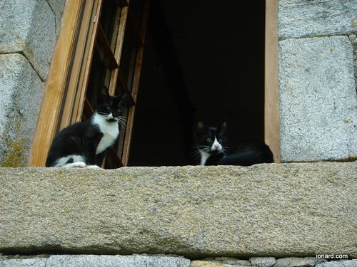 DSC00286