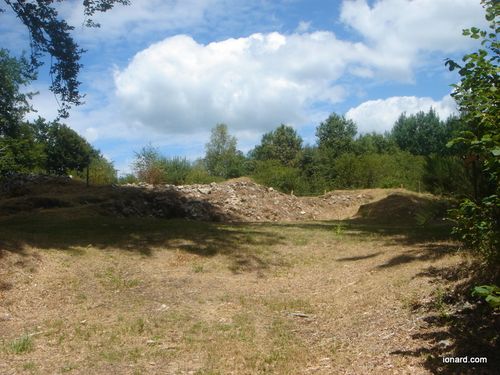 DSC09689