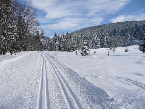 Piste de ski de fond à La Bresse