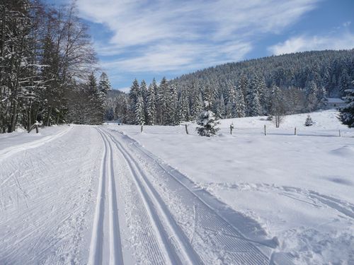 Piste de ski de fond à La Bresse