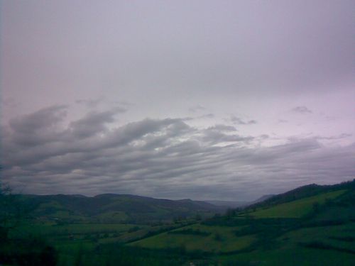 29dec009