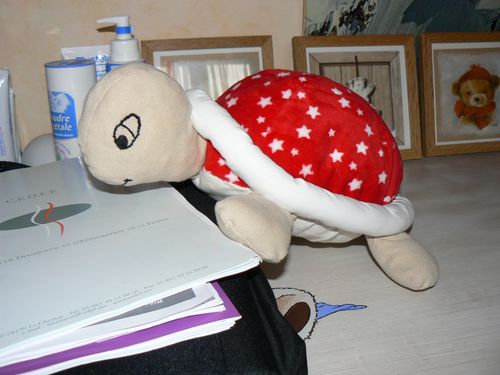 tortue-peluche-002.jpg