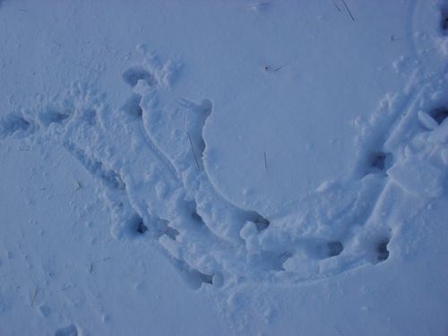decembre2009-133.jpg