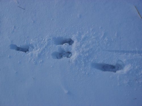 decembre2009 144