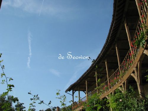 사진9