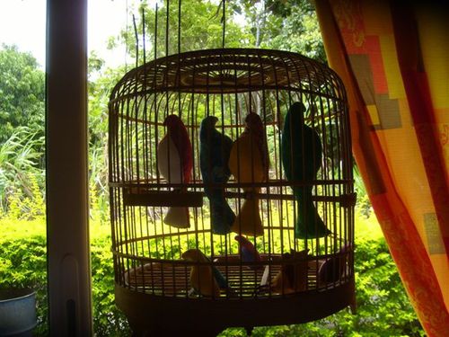 les-oiseaux-en-cage--5-.JPG